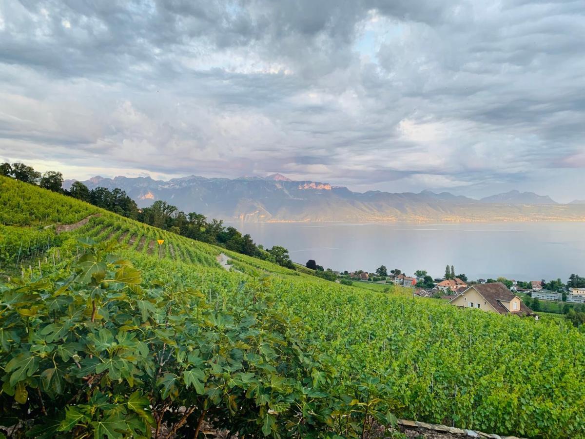 Hotel #Lavaux Lutry Exterior foto
