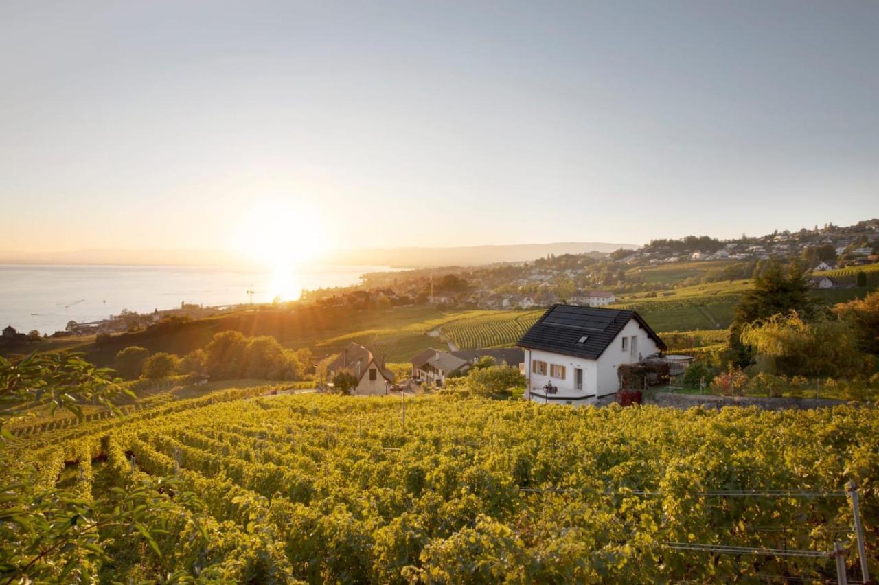 Hotel #Lavaux Lutry Exterior foto